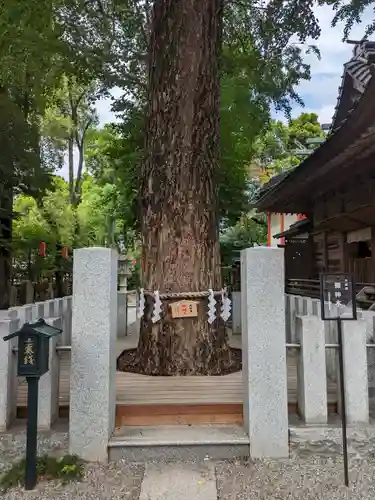 田無神社(東京都)