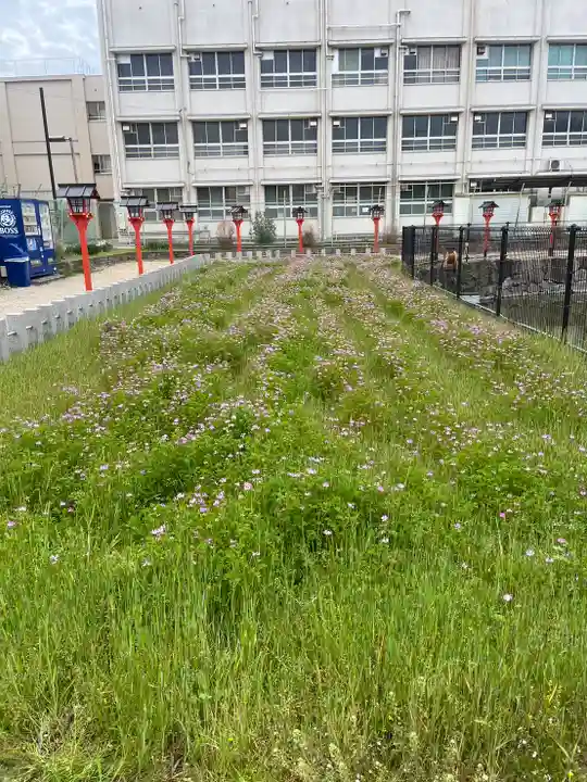 杭全神社(大阪府)