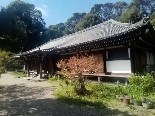 浄瑠璃寺の本殿・本堂