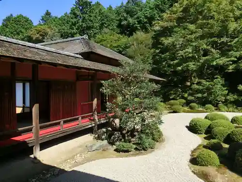 曼殊院門跡の庭園