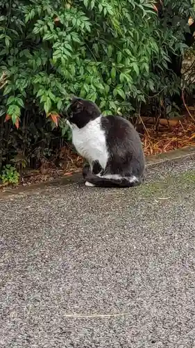 白金氷川神社(東京都)