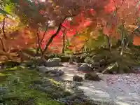 宝筐院(京都府)