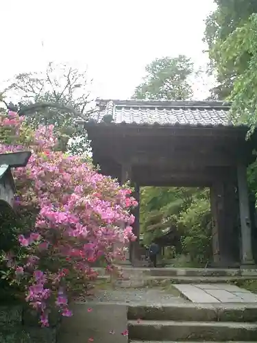 安國論寺（安国論寺）の山門