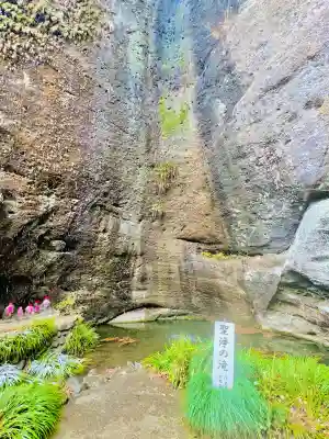 観音院の{uncategorized: "未分類", other: "その他", undefined: "問題あり", building: "その他建物", grave: "お墓", sacred_gate: "鳥居", guardian: "狛犬", statue: "像", buddha: "仏像", history: "歴史", nature: "自然", garden: "庭園", animal: "動物", pagoda: "塔", temizu: "手水舎", mountain_gate: "山門・神門", sanctuary: "本殿・本堂", subordinate: "末社・摂社", art: "芸術", scenery: "景色", jizo: "地蔵", ema: "絵馬", goshuin: "御朱印", omikuji: "おみくじ", items: "授与品その他", amulet: "お守り", goshuincho: "御朱印帳", eats: "食事", festival: "お祭り", votive_dance: "神楽", shichigosan: "七五三参", wedding: "結婚式", experience: "体験その他", initially: "初詣", around: "周辺", anti_infection: "感染症対策"}