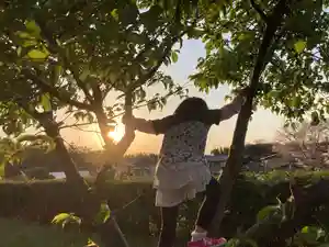 蓮久寺の景色(2021年03月26日(金) 18時36分57秒投稿)