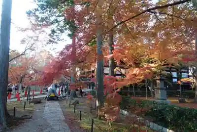 真正極楽寺(真如堂)(京都府)