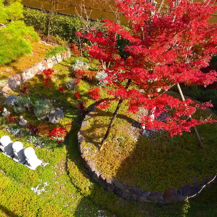 寿量山 速成寺の自然