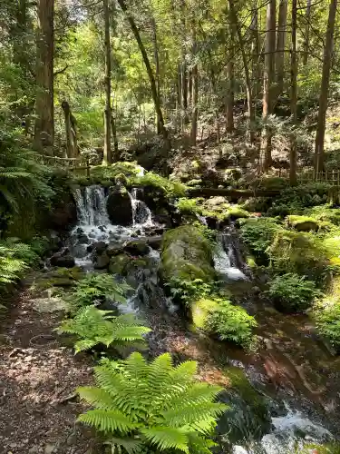 天徳寺(福井県)
