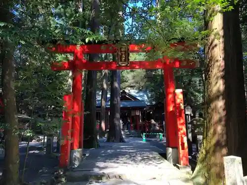 椿大神社の鳥居