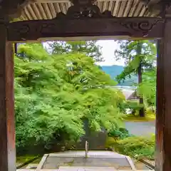 萬徳寺(福井県)