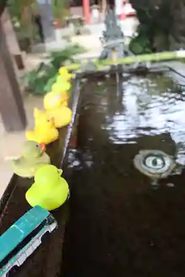 柏諏訪神社(千葉県)