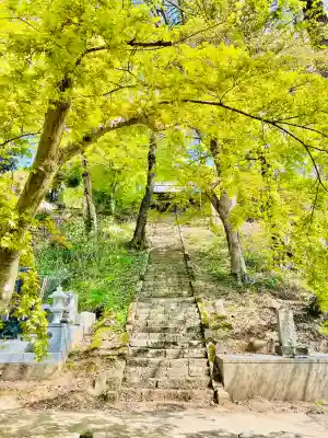 正蓮寺の{uncategorized: "未分類", other: "その他", undefined: "問題あり", building: "その他建物", grave: "お墓", sacred_gate: "鳥居", guardian: "狛犬", statue: "像", buddha: "仏像", history: "歴史", nature: "自然", garden: "庭園", animal: "動物", pagoda: "塔", temizu: "手水舎", mountain_gate: "山門・神門", sanctuary: "本殿・本堂", subordinate: "末社・摂社", art: "芸術", scenery: "景色", jizo: "地蔵", ema: "絵馬", goshuin: "御朱印", omikuji: "おみくじ", items: "授与品その他", amulet: "お守り", goshuincho: "御朱印帳", eats: "食事", festival: "お祭り", votive_dance: "神楽", shichigosan: "七五三参", wedding: "結婚式", experience: "体験その他", initially: "初詣", around: "周辺", anti_infection: "感染症対策"}