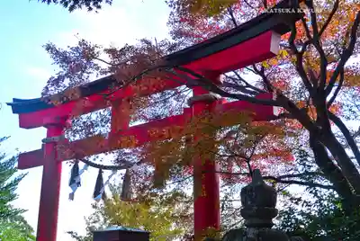 高尾山薬王院(東京都)