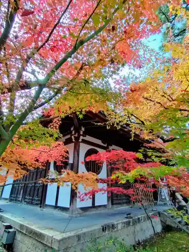 禅林寺（永観堂）(京都府)