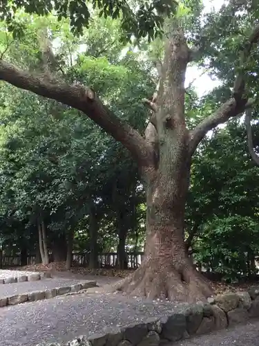 清野井庭神社(豊受大神宮摂社)の自然