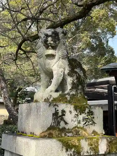 松尾大社の狛犬