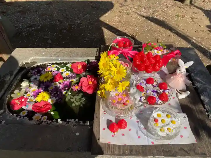 千代ケ岡八幡宮(栃木県)