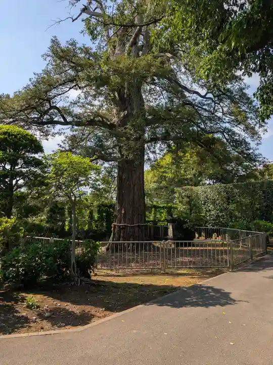高勝寺(東京都)