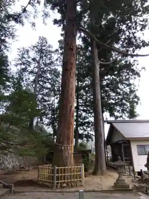 錦山神社(岐阜県)
