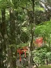 賀茂別雷神社（上賀茂神社）(京都府)