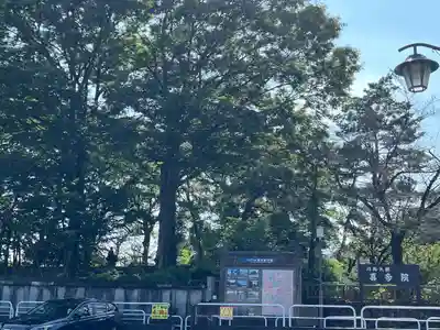 喜多院(埼玉県)