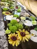 鳩森八幡神社の手水舎