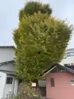 道入庵(千葉県)