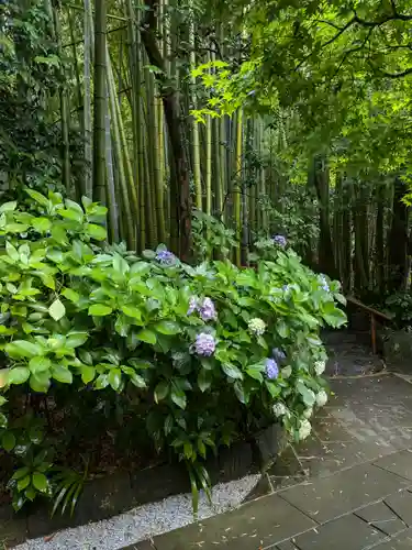 報国寺(神奈川県)