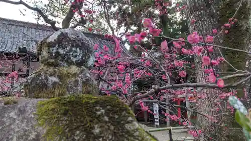 北野天満宮(京都府)