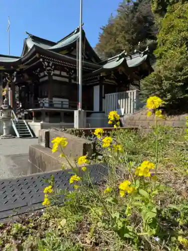 長津田王子神社の{uncategorized: "未分類", other: "その他", undefined: "問題あり", building: "その他建物", grave: "お墓", sacred_gate: "鳥居", guardian: "狛犬", statue: "像", buddha: "仏像", history: "歴史", nature: "自然", garden: "庭園", animal: "動物", pagoda: "塔", temizu: "手水舎", mountain_gate: "山門・神門", sanctuary: "本殿・本堂", subordinate: "末社・摂社", art: "芸術", scenery: "景色", jizo: "地蔵", ema: "絵馬", goshuin: "御朱印", omikuji: "おみくじ", items: "授与品その他", amulet: "お守り", goshuincho: "御朱印帳", eats: "食事", festival: "お祭り", votive_dance: "神楽", shichigosan: "七五三参", wedding: "結婚式", experience: "体験その他", initially: "初詣", around: "周辺", anti_infection: "感染症対策"}