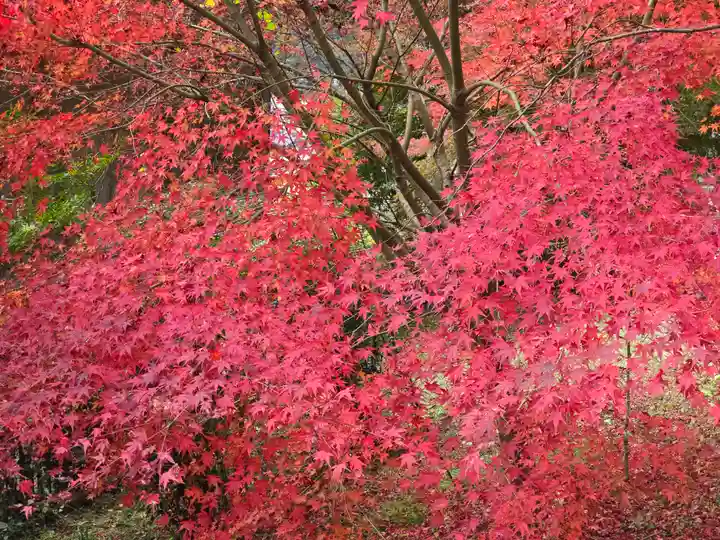 達身寺(兵庫県)