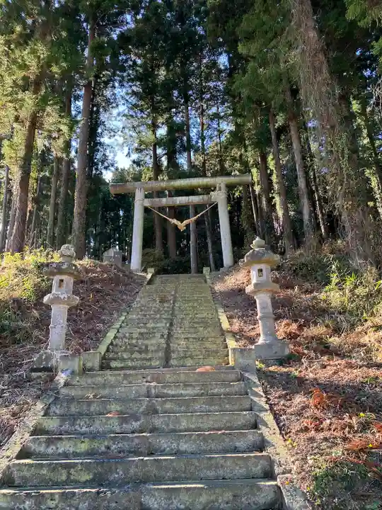 氷川神社の鳥居