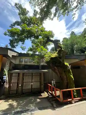 箱根神社(神奈川県)