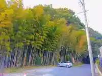 洲原社の自然