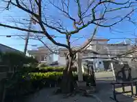 智禅寺(大阪府)