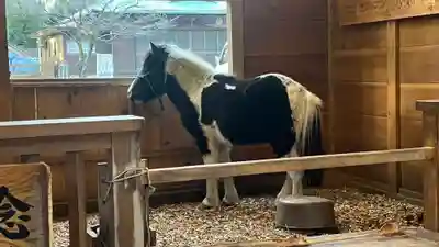 平塚八幡宮(神奈川県)