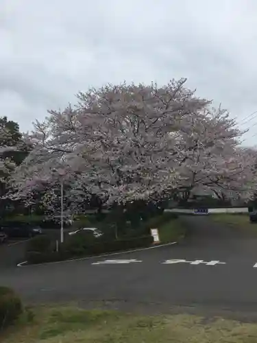 水神神社の景色