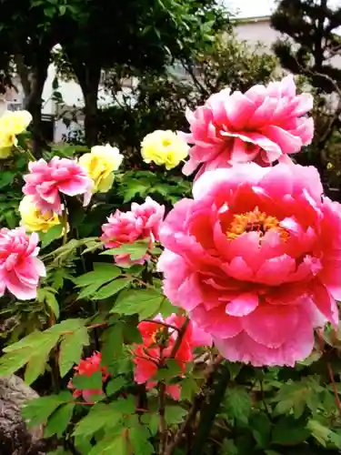 禅定院(東京都)