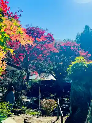 浄智寺(神奈川県)