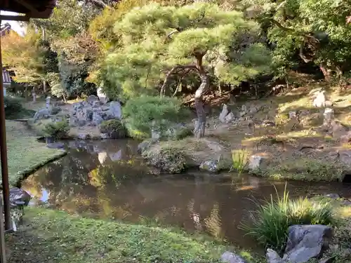 大善寺の庭園