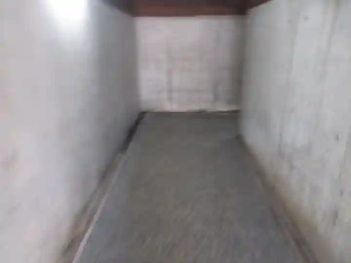 白山神社(新潟県)