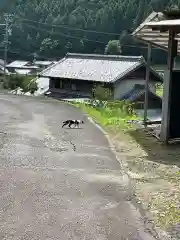 洞雲寺の動物