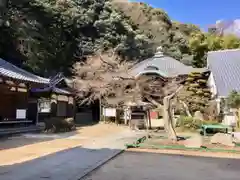 十善寺の建物その他