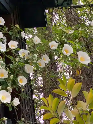 波除神社（波除稲荷神社）の{uncategorized: "未分類", other: "その他", undefined: "問題あり", building: "その他建物", grave: "お墓", sacred_gate: "鳥居", guardian: "狛犬", statue: "像", buddha: "仏像", history: "歴史", nature: "自然", garden: "庭園", animal: "動物", pagoda: "塔", temizu: "手水舎", mountain_gate: "山門・神門", sanctuary: "本殿・本堂", subordinate: "末社・摂社", art: "芸術", scenery: "景色", jizo: "地蔵", ema: "絵馬", goshuin: "御朱印", omikuji: "おみくじ", items: "授与品その他", amulet: "お守り", goshuincho: "御朱印帳", eats: "食事", festival: "お祭り", votive_dance: "神楽", shichigosan: "七五三参", wedding: "結婚式", experience: "体験その他", initially: "初詣", around: "周辺", anti_infection: "感染症対策"}