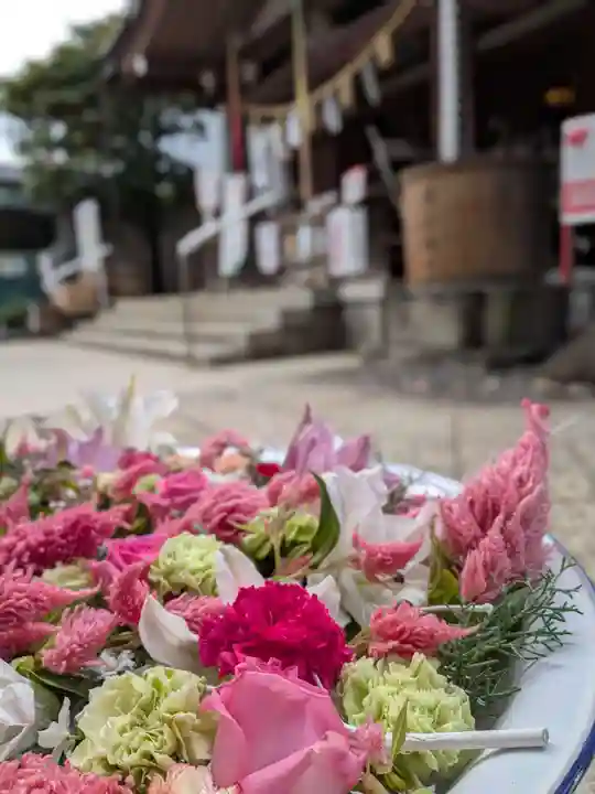 鳩森八幡神社(東京都)