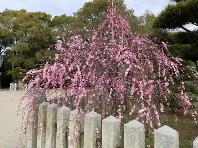 曽根天満宮(兵庫県)