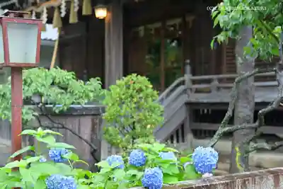 白山神社のその他建物