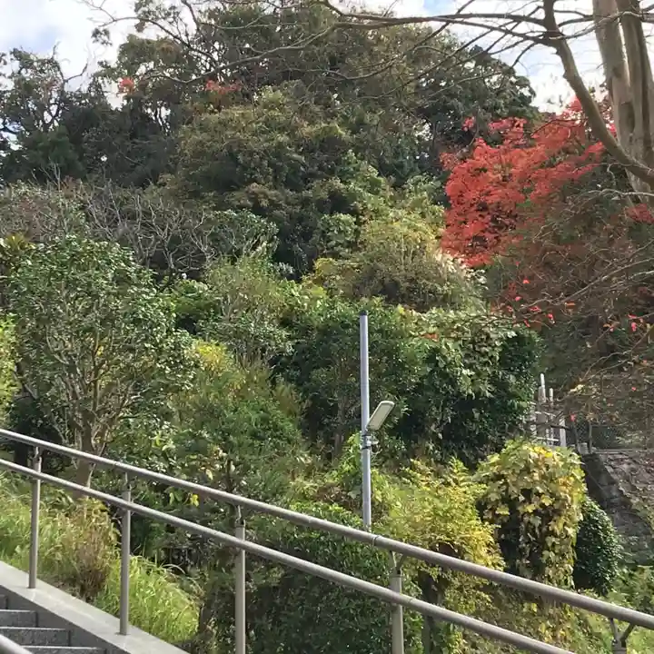 来迎寺(西御門)の庭園