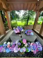 高司神社〜むすびの神の鎮まる社〜(福島県)