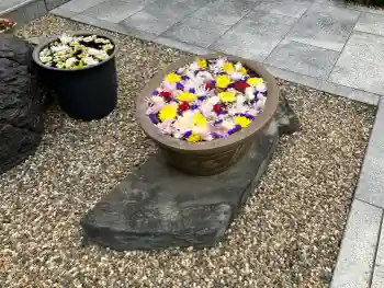 覚源院の御朱印 2026年02月